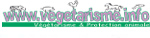 végétarisme